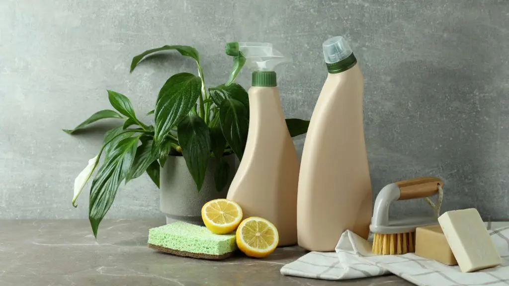 Ventajas de productos de limpieza ecologicos a granel x ()